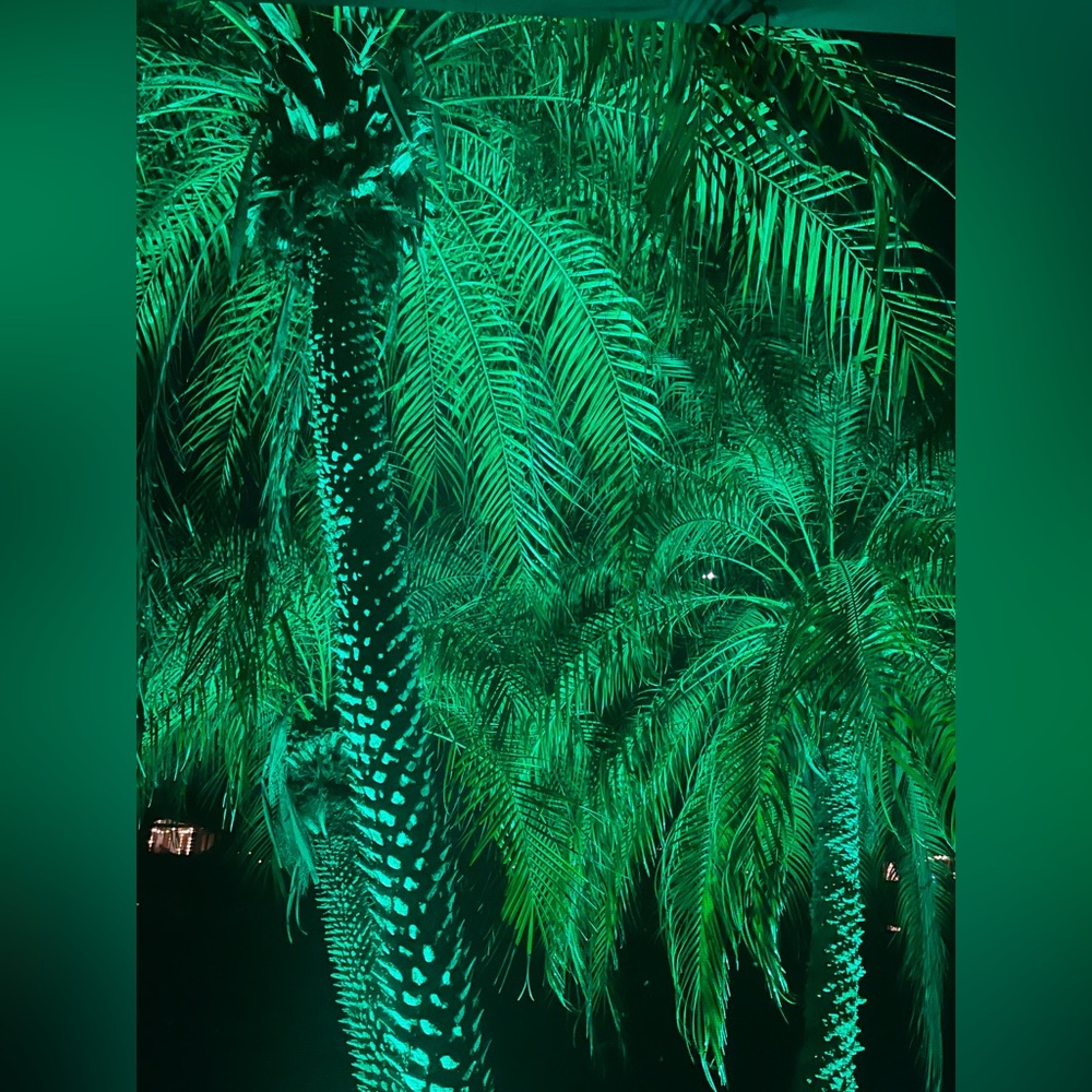 Meet your Posher, Karyn